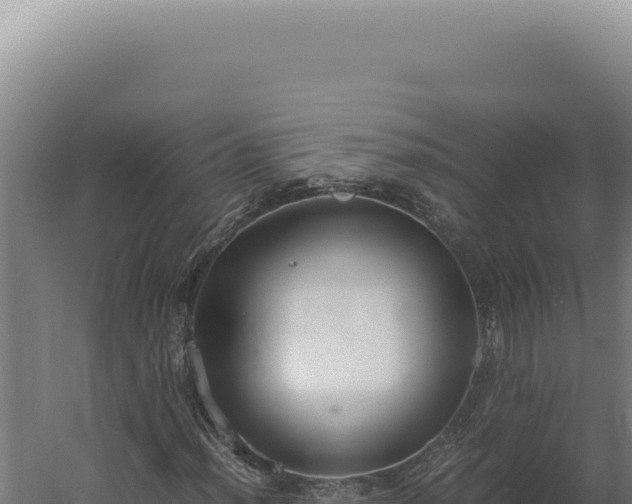 X0000060261012200511041343