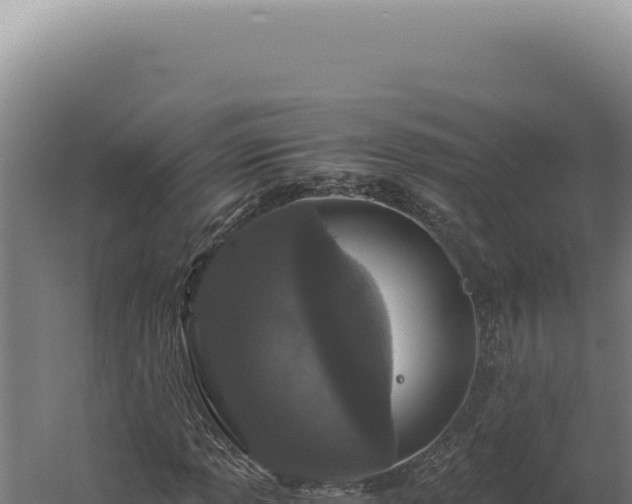 X0000060261013200511041343