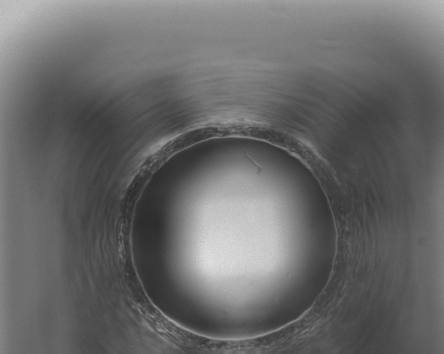 X0000060261016200511041343