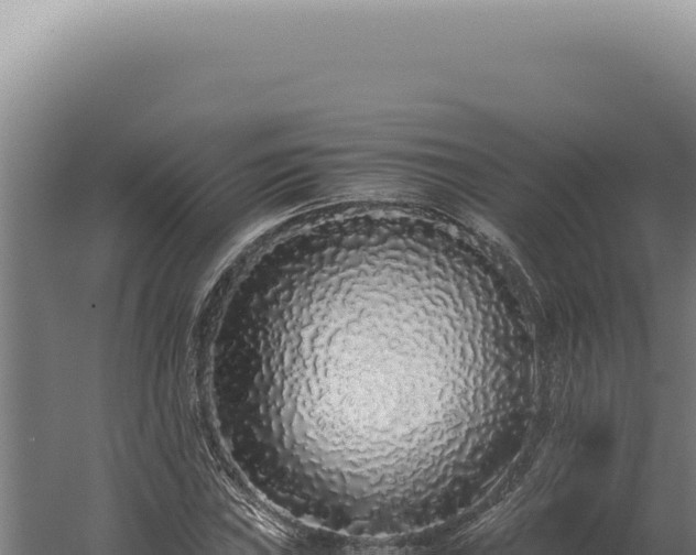 X0000060261019200511041344