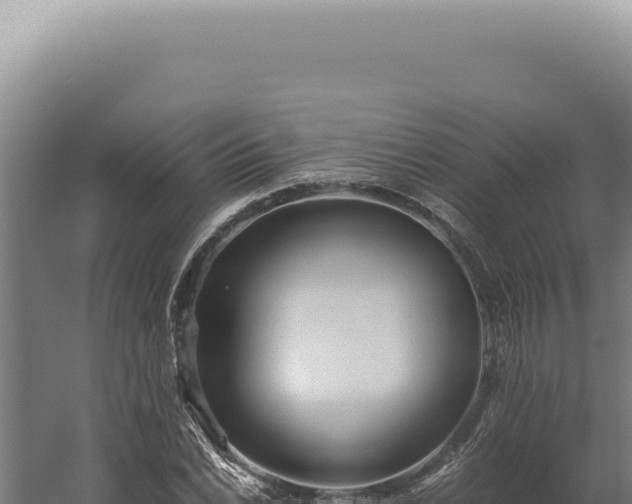 X0000060261022200511041344