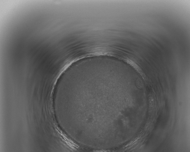 X0000060261023200511041344