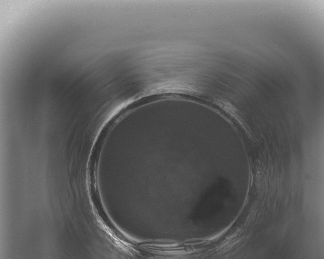 X0000060261024200511041344