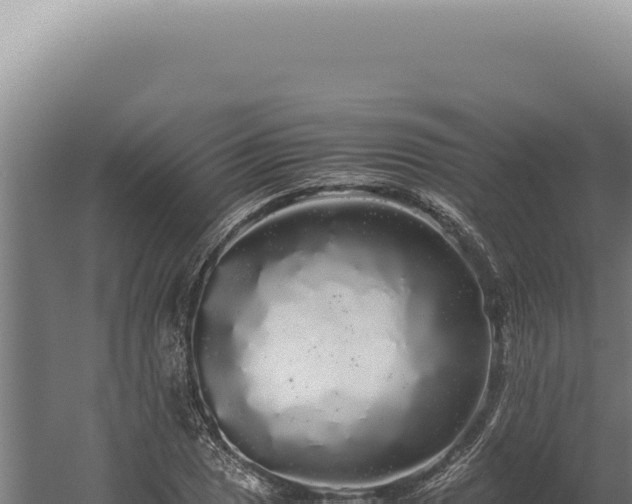 X0000060261025200511041344