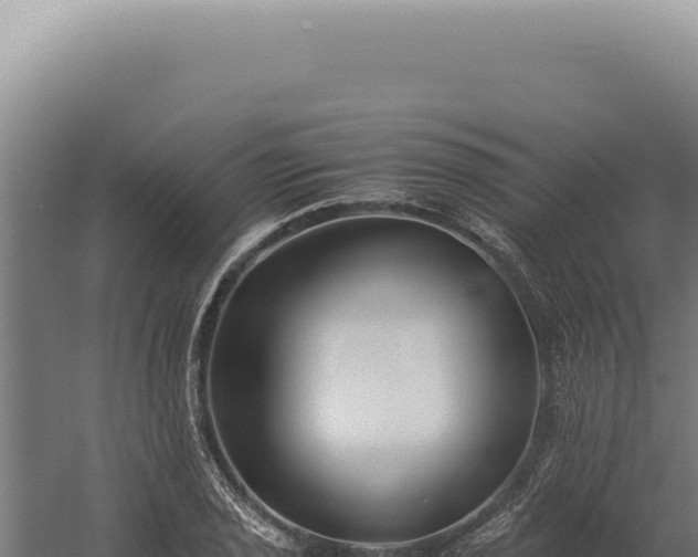 X0000060261029200511041344