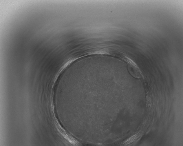 X0000060261035200511041344