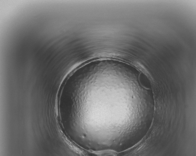 X0000060261036200511041344