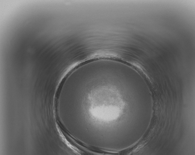 X0000060261038200511041344