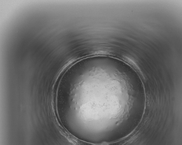 X0000060261043200511041344