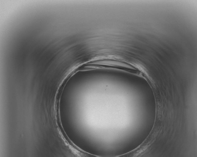 X0000060261046200511041344