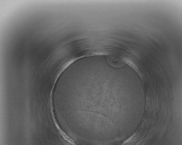 X0000060261047200511041344