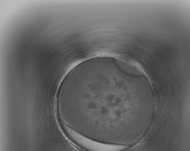 X0000060261048200511041344