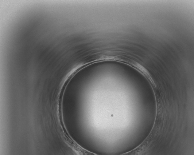 X0000060261051200511041344