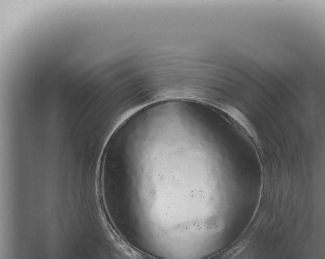 X0000060261052200511041344