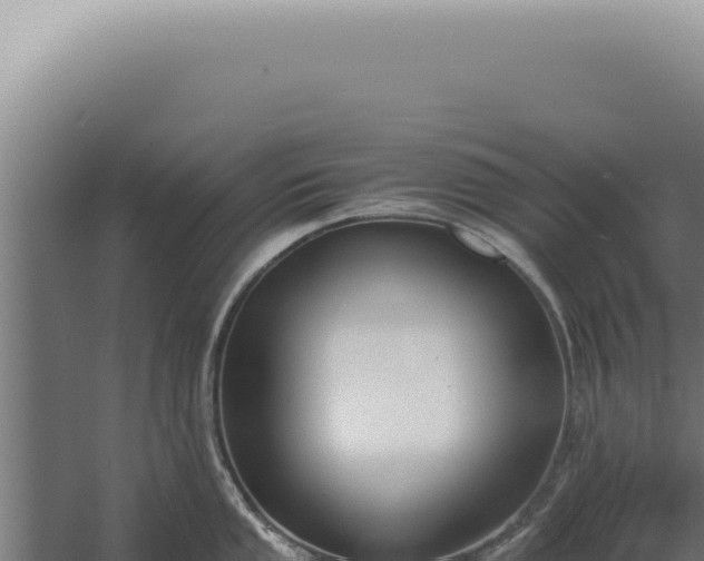 X0000060261053200511041344