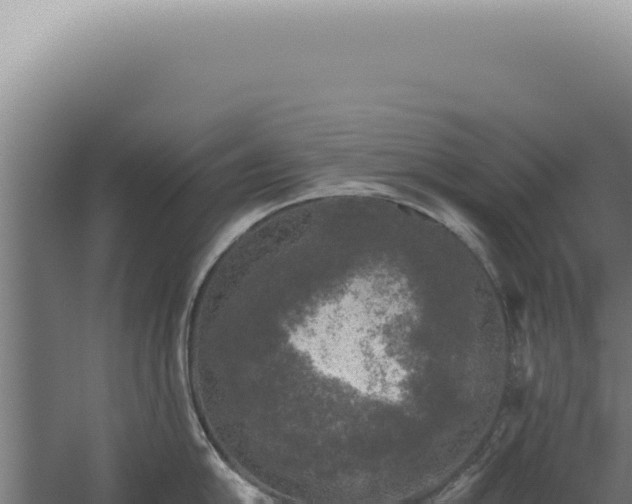 X0000060261054200511041344