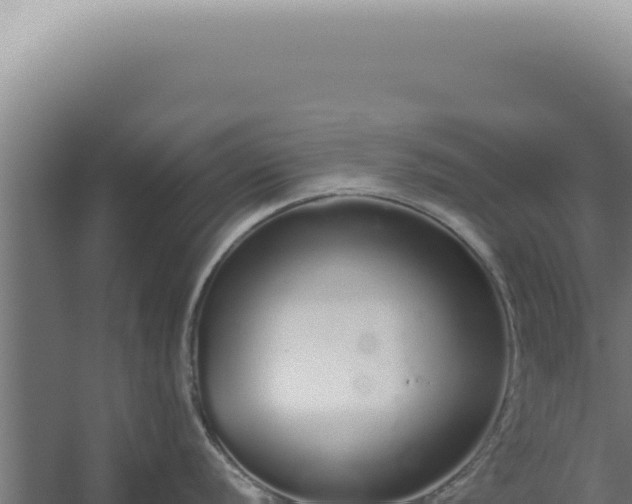 X0000060261056200511041344