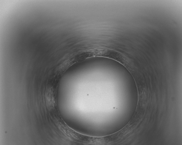 X0000060261058200511041343