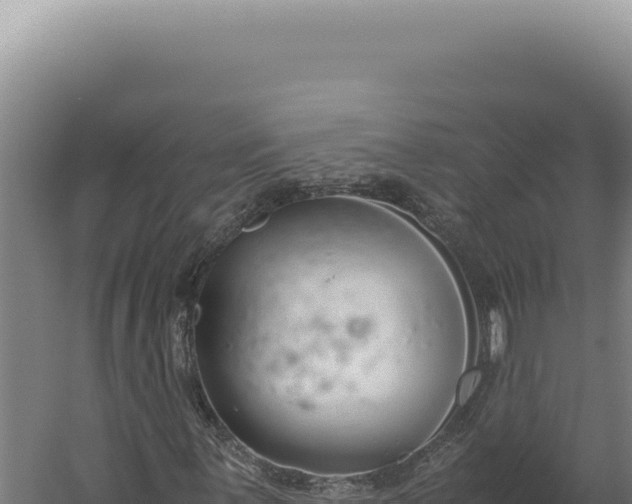 X0000060261059200511041343