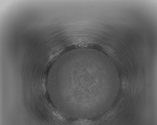 X0000060261060200511041343