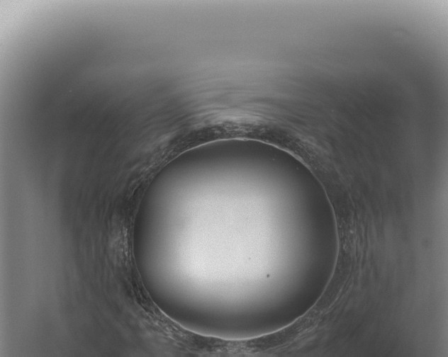 X0000060261061200511041343