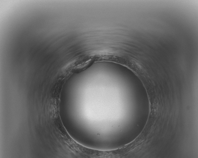 X0000060261062200511041343