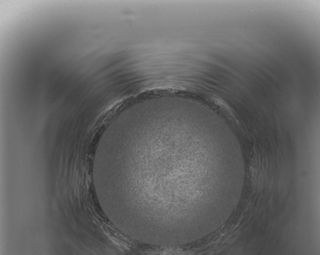 X0000060261064200511041343