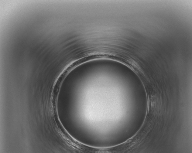 X0000060261068200511041343