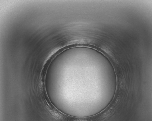 X0000060261070200511041343