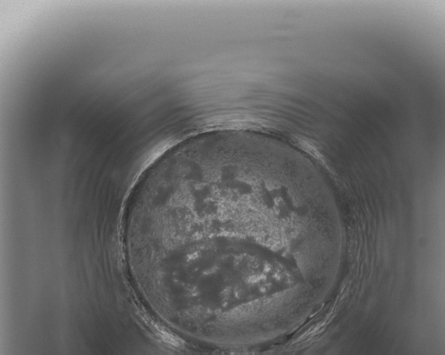 X0000060261071200511041343