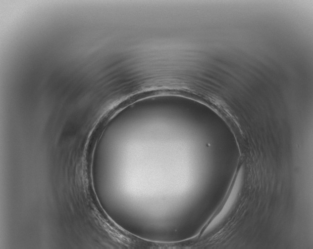 X0000060261072200511041343