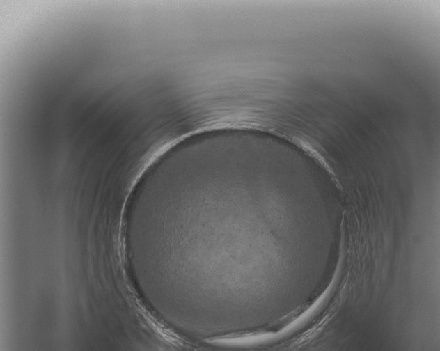 X0000060261077200511041343