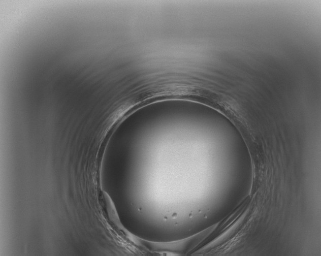 X0000060261081200511041343