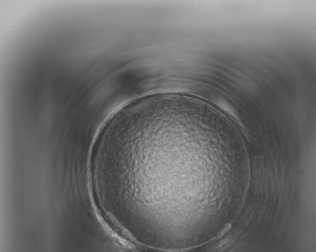 X0000060261088200511041343