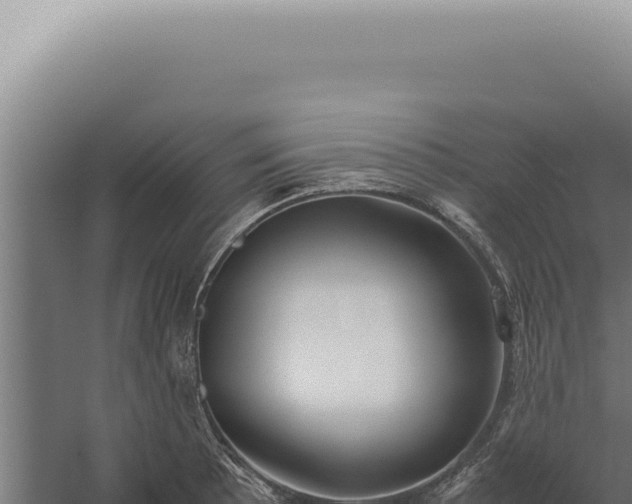 X0000060261089200511041343