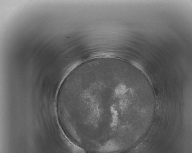 X0000060261090200511041343