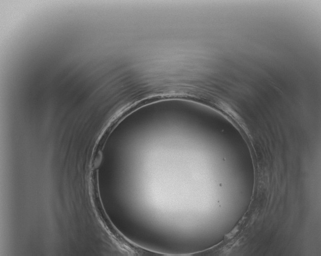 X0000060261093200511041343