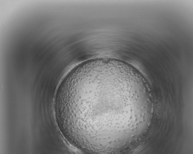 X0000060261094200511041343