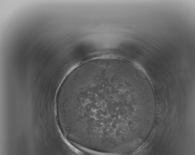 X0000060261095200511041343