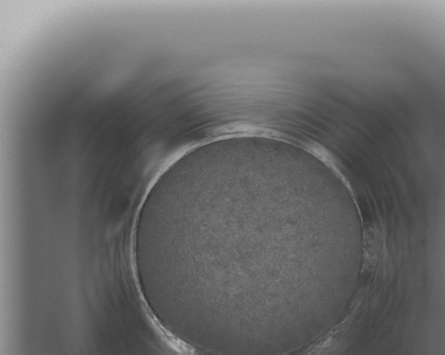 X0000060261098200511041343