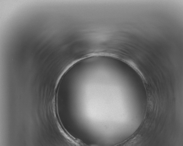 X0000060261100200511041343