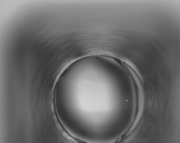 X0000060261102200511041343