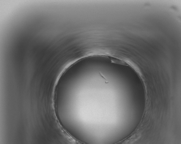 X0000060261104200511041343