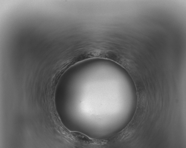 X0000060261105200511041342