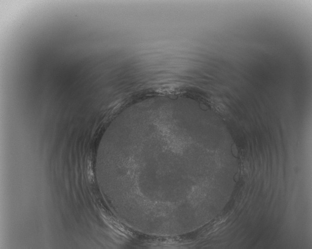 X0000060261106200511041342