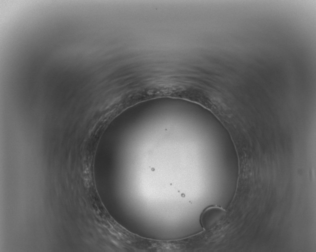 X0000060261109200511041342