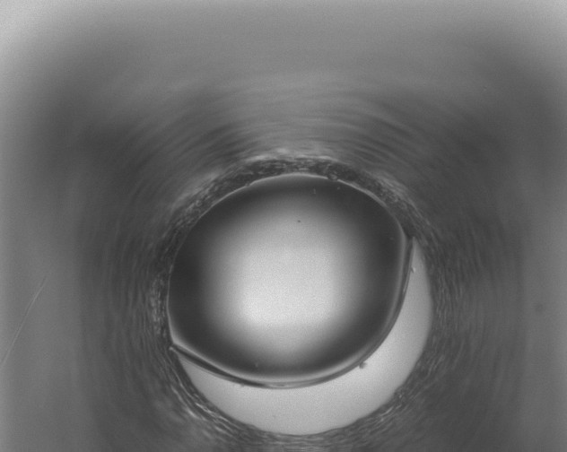 X0000060261110200511041342