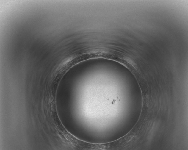 X0000060261111200511041342