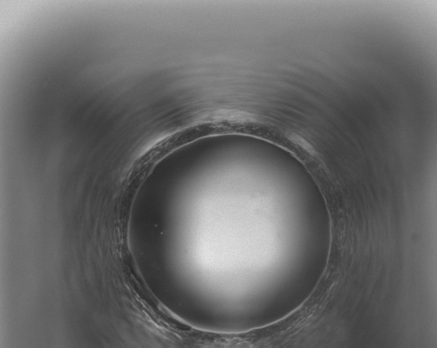 X0000060261112200511041342