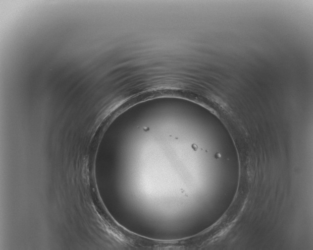 X0000060261113200511041342